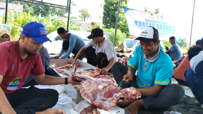 YPN Bersama LAZDAI Lampung Gelar pemotongan hewan kurban.
