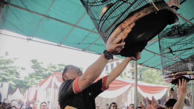 Lomba Burung Berkicau Kapolda Lampung Cup 2024.