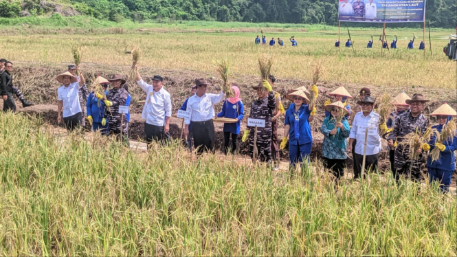 Ceremoni panen padi oleh Mentan-Wakasal