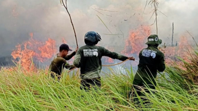 Petugas memadamkan kebakaran lahan di TNWK Lampung Timur.