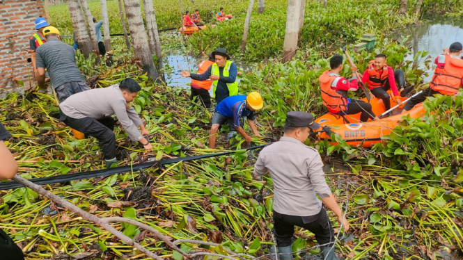 Petugas gabungan melakukan kegiatan pembersihan enceng gondok.