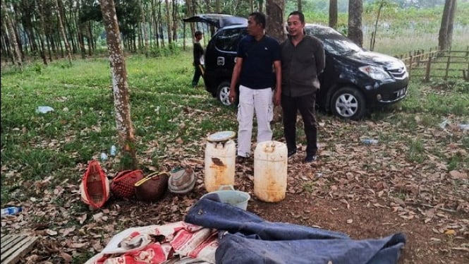 Polisi grebek lokasi judi sabung ayam di kebun karet.