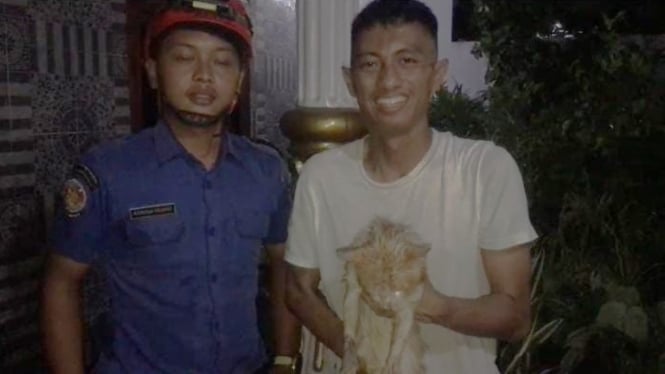 Petugas Damkar Lampung Selatan mengevakuasi kucing.