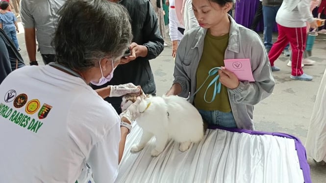 Balai Karantina Pertanian Lampung menggelar vaksinasi rabies gratis.