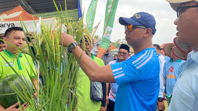 Cagub Lampung, Rahmat Mirzani Djausal melihat hasil panen padi.