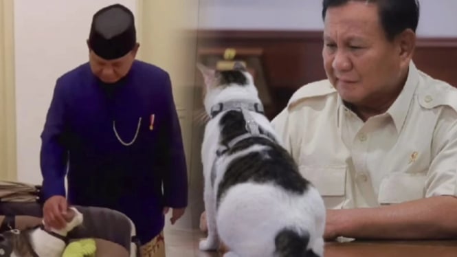 Presiden Prabowo bersama 'Bobby' kucing kesayangannya.