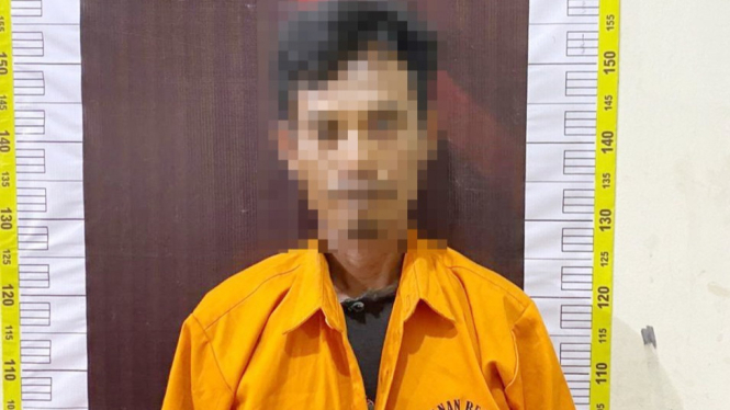 Pelaku persetubuhan terhadap anak tiri hingga hamil ditangkap polisi.