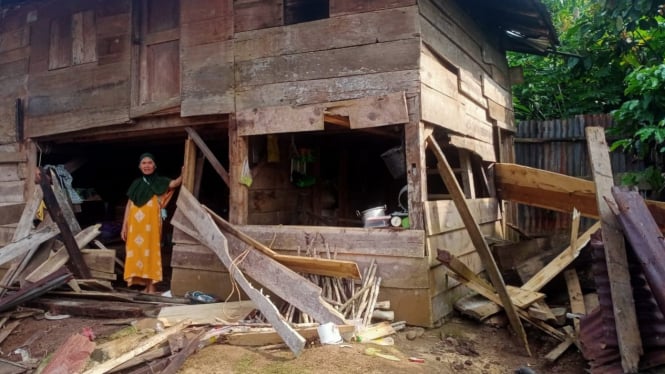 Rumah warga di Lampung Barat rusak diserang kawanan gajah liar.