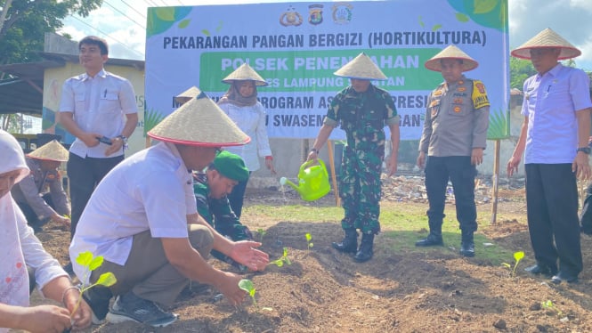 Polsek Penengahan manfaatkan lahan untuk bercocok tanam.