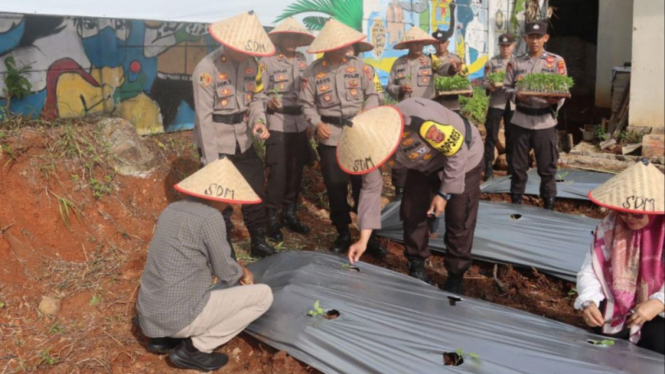 Polres Lampung Selatan melakukan penanaman pangan bergizi.