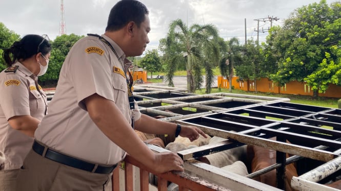 Badan Karantina Pertanian Lampung perketat mobilitas hewan ternak.