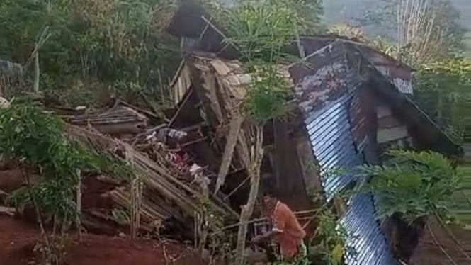 Belasan rumah warga dirusak Gajah.