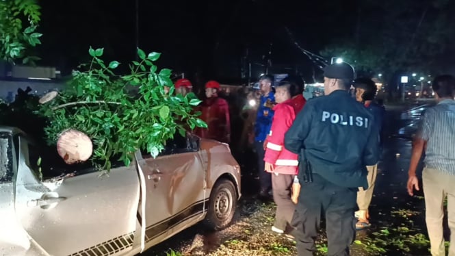 Pohon tumbang timpa mobil di Kalianda, Lampung Selatan.