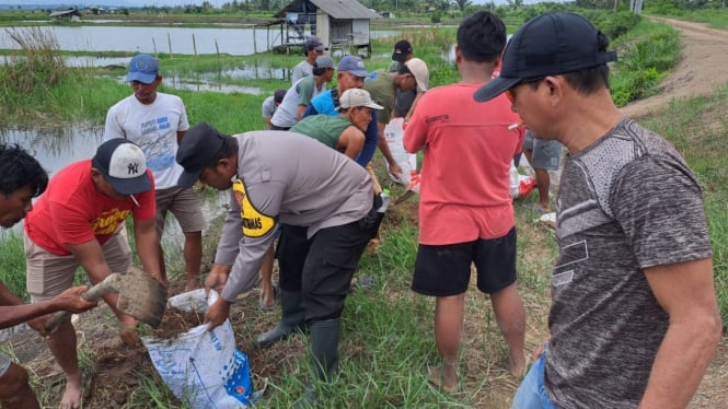 Bhabinkamtibmas dan warga membuat tanggul darurat.