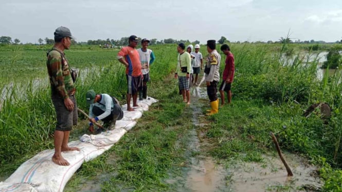 Pemasangan tanggul darurat mencegah air masuk ke permukiman.