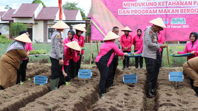 Pelaksanaan program pekarangan lestari  di Lampung Barat.