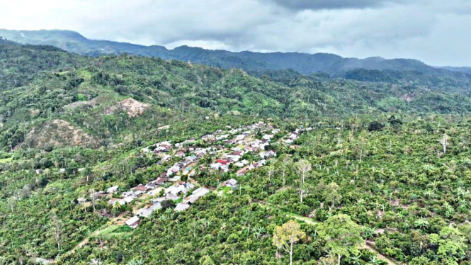 Kawasan Taman Nasional Bukit Barisan Selatan