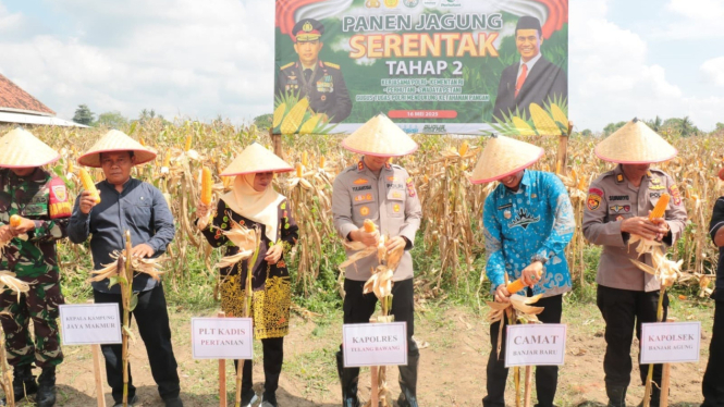 Kapolres Tulang Bawang Panen Raya Jagung Serentak Tahap II
