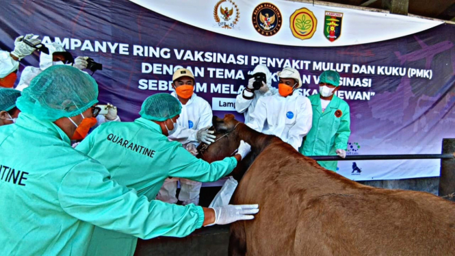 Proses vaksinasi di Lampung Tengah