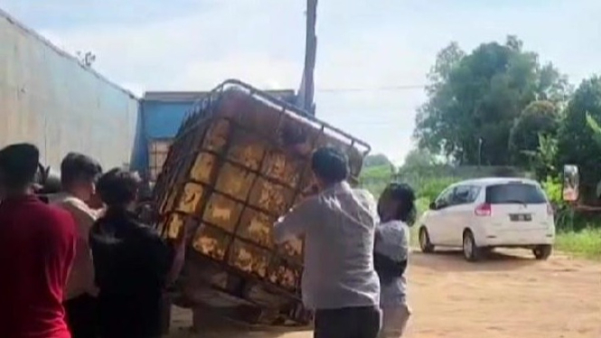 Polisi sita penampung BBM bersubsidi dari rumah Kades Gunung Agung