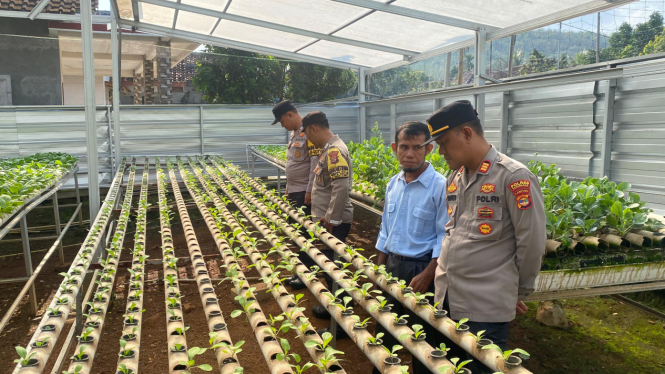 Dorong ketahanan pangan lewat lomba perkarangan bergizi.