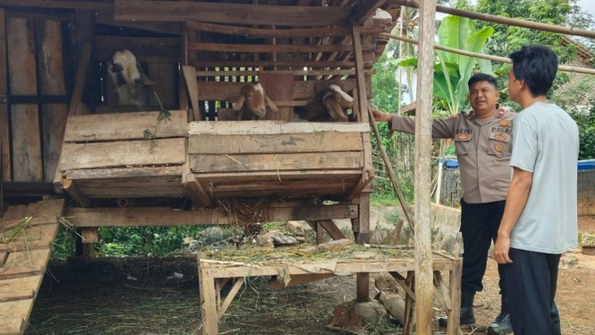 Bhabinkamtibmas Gedong Tataan tinjau peternakan warga.