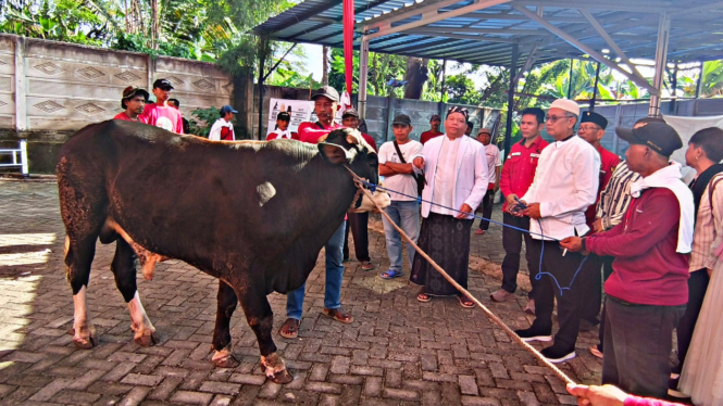 Qurban di Kantor DPD PDI Perjuangan Lampung