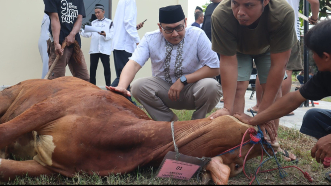 Polres Lampung Selatan melakukan penyembelihan hewan kurban sapi