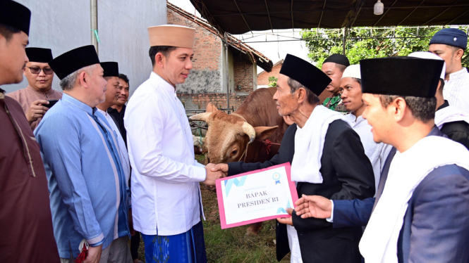 Bupati Lampung Selatan, Radityo Egi menyerahkan sapi kurban Presiden