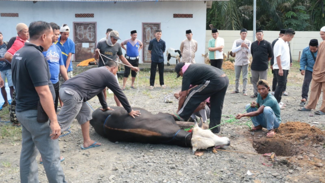 Polres Tulang Bawang sembelih hewan kurban.