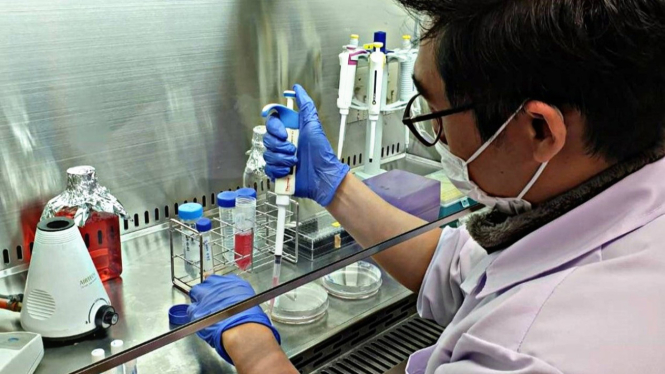 Penelitian inovatif dari dosen Program Studi Kimia, Fakultas Sains