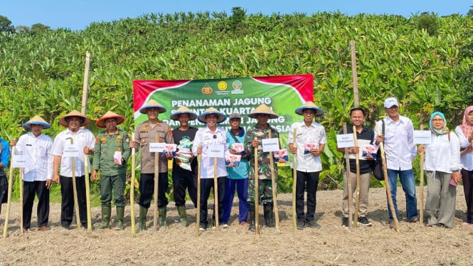 Polsek Penengahan tanam jagung di Lahan Perhutanan Sosial.