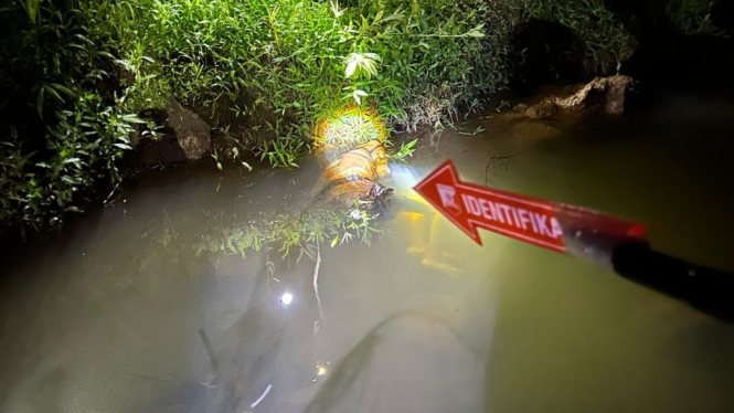 Penemuan sesosok mayat pria tanpa identitas di aliran sungai.