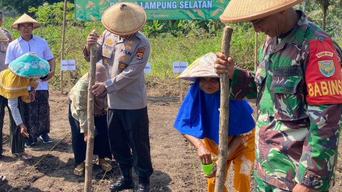 Polres Lampung Selatan tanam jagung dukung ketahanan pangan.
