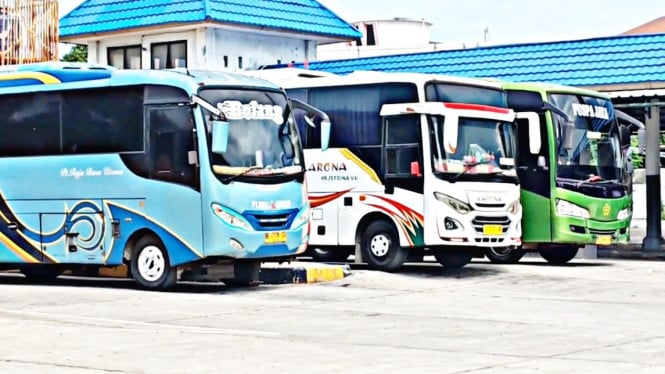Bus terparkir di Terminal Rajabasa