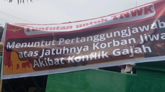 Massa tuntut TNWK konflik manusia dengan gajah.