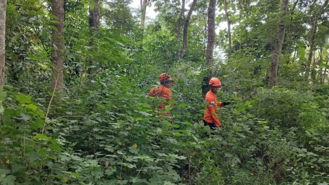 Basarnas cari lansia hilang di Kebun Gadingrejo, Pringsewu.