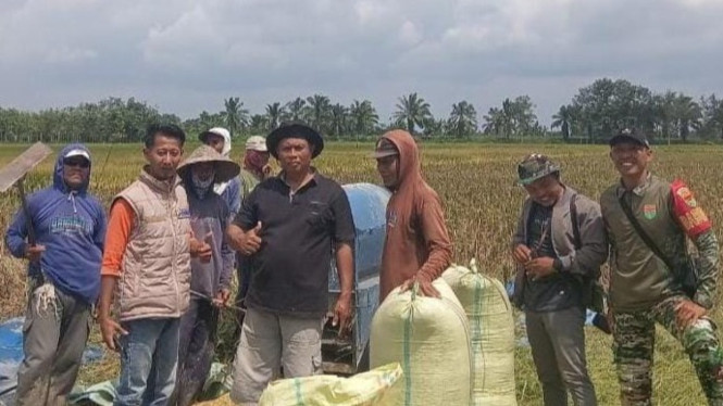 Bulog Lampung Utara serap 47 Ton gabah petani.