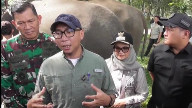 Pemerintah akan bangun pagar permanen di Way Kambas.