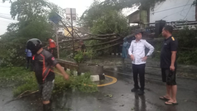 Wakil Bupati Lampung Utara, Romli tinjau pohon tumbang akibat cuaca,