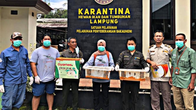 Petugas menunjukkan barang bukti