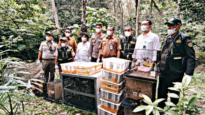 Pelepasliaran burung di Tahura
