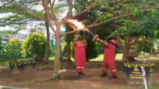 Petugas Damkar bersihkan sarang tawon di SMAN 2 Kalianda.