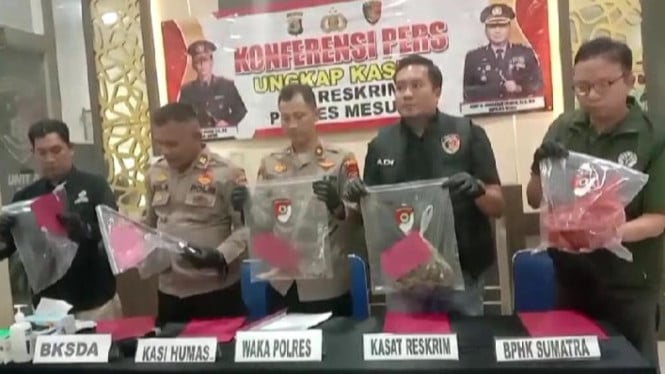 Polres Mesuji Beberkan Kronologi Pembantaian Tapir: Ditombak, Dipukul Dongkrak, Lalu Dimasak Rica-Rica