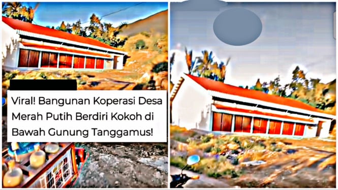 Viral Dikira Berdiri di Tengah Bukit, Begini Fakta Lokasi Koperasi Merah Putih di Tanggamus