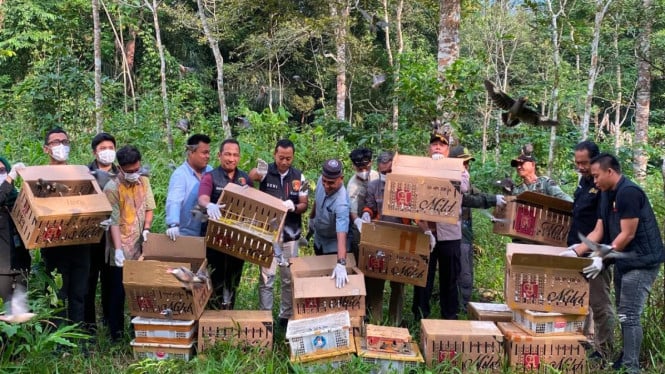 BKSDA dan Karantina Lampung kembalikan ratusan burung sitaan ke hutan lindung.