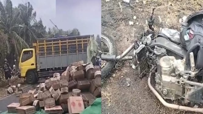 Kecelakaan Maut di Jalimbar Mesuji: Pemotor Vixion Tewas Tabrakan dengan Truk Muatan Karton