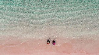 Fakta Menarik Warna Pasir Pantai Pink, Ternyata dari Makhluk Hidup Ini