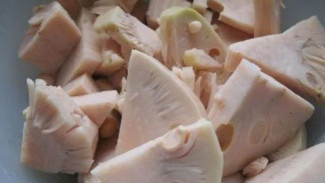 Begini Cara Mengolah Nangka Mentah agar Tidak Pahit dan Siap Jadi Gulai