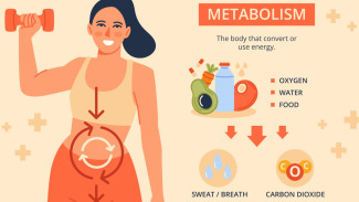 Tipe Metabolikmu Menentukan Apa yang Harus Kamu Makan: Benarkah Setiap Orang Butuh Diet yang Berbeda?